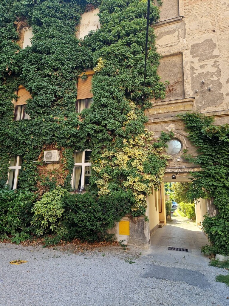 Image 6358285 - 15
