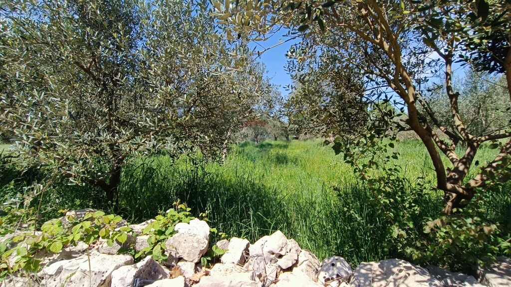 Image 6358345 - 4