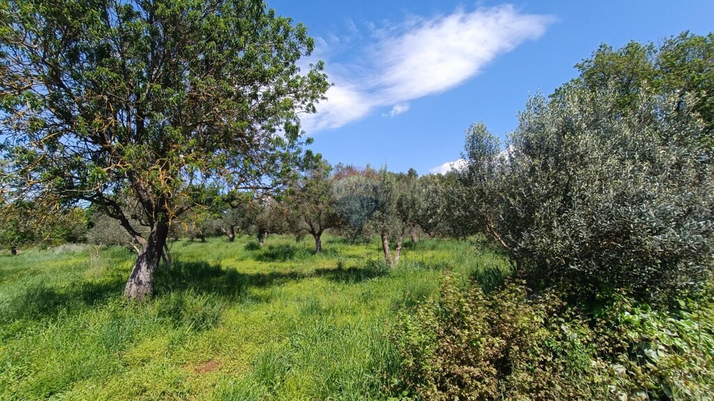 Image 6358345 - 1