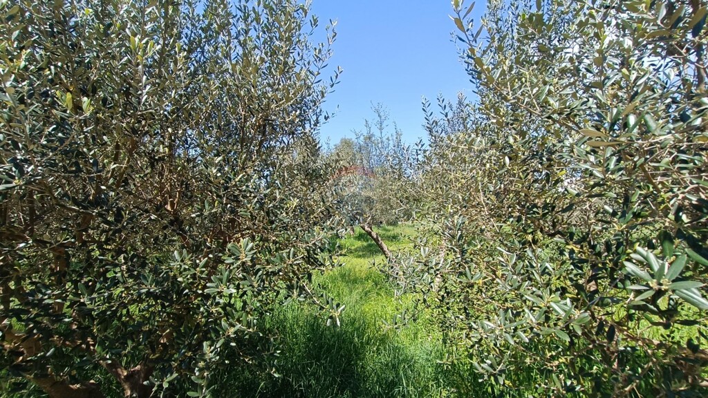 Image 6358345 - 2