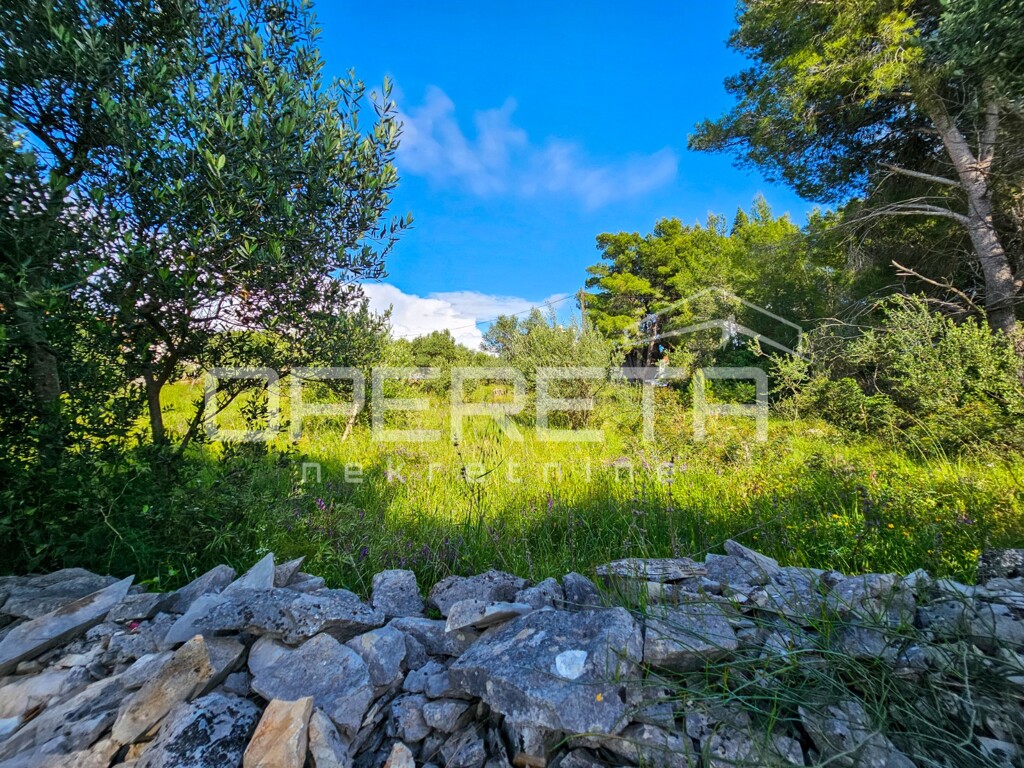 Image 6359310 - 4