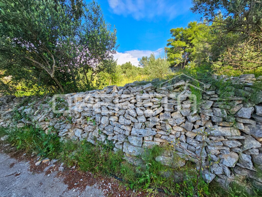 Image 6359310 - 24