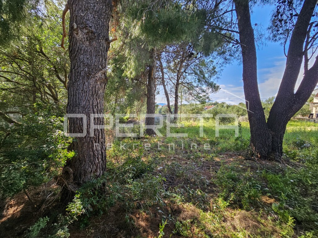 Image 6359310 - 16