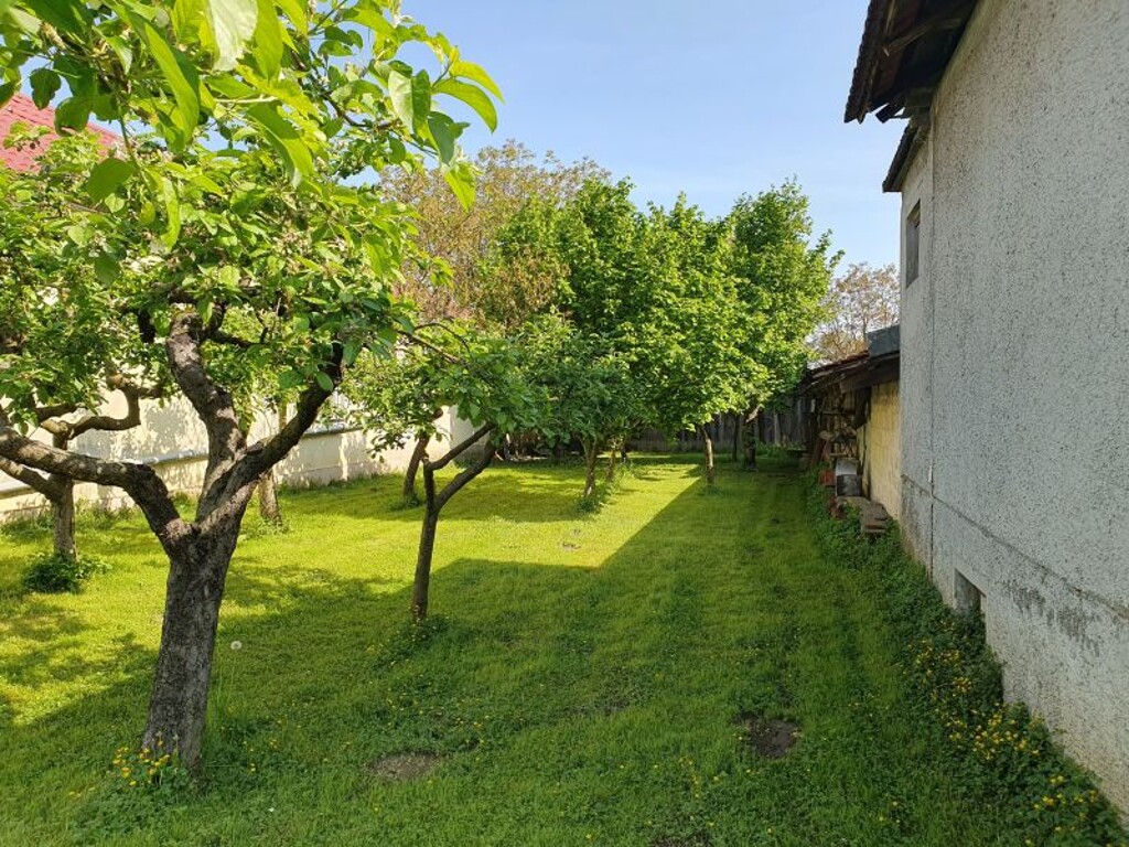 Image 6359355 - 7