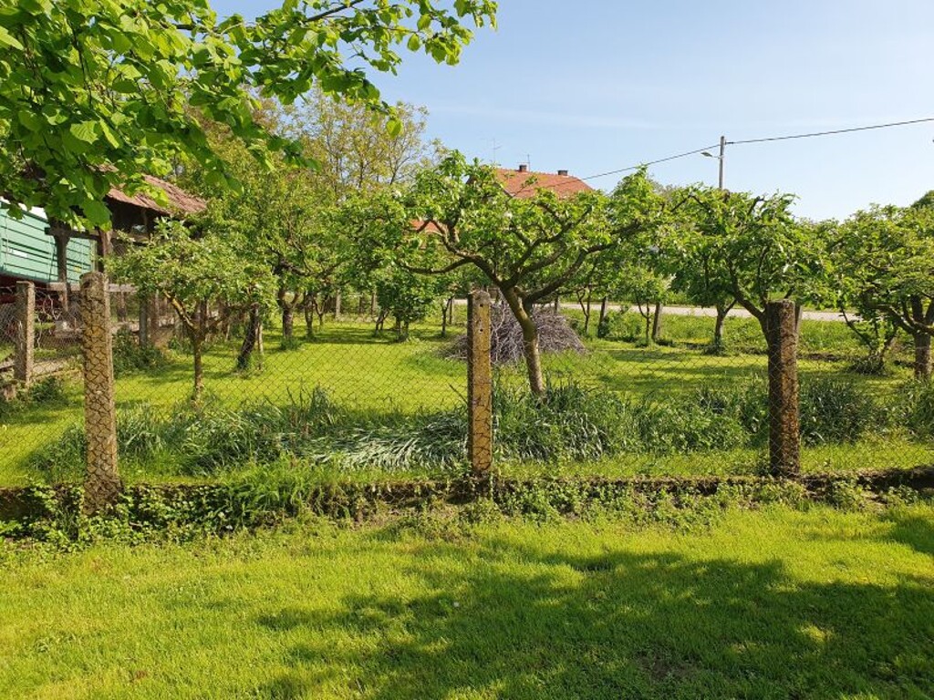 Image 6359355 - 10