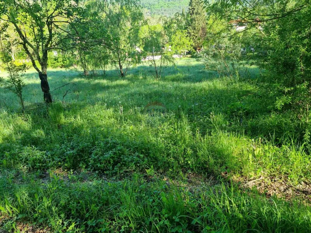 Image 6359372 - 7