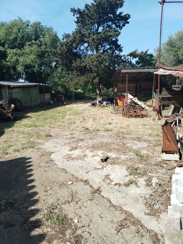 Image 6359563 - 6