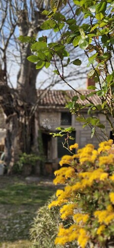 Thumbnail 6359841 - 5