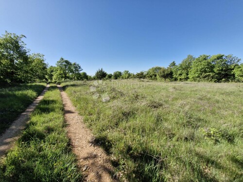 Iskoristite priliku! Plodno zemljište s vodom na parceli