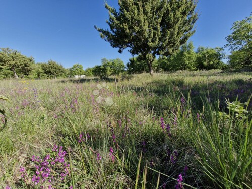 Thumbnail 6359843 - 3