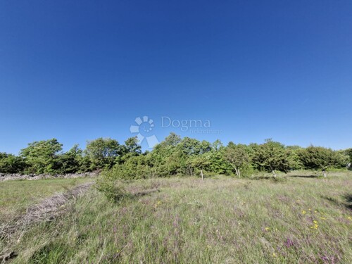 Thumbnail 6359843 - 4