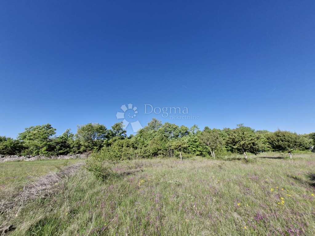 Image 6359843 - 4