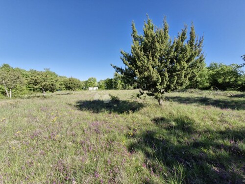 Thumbnail 6359843 - 6