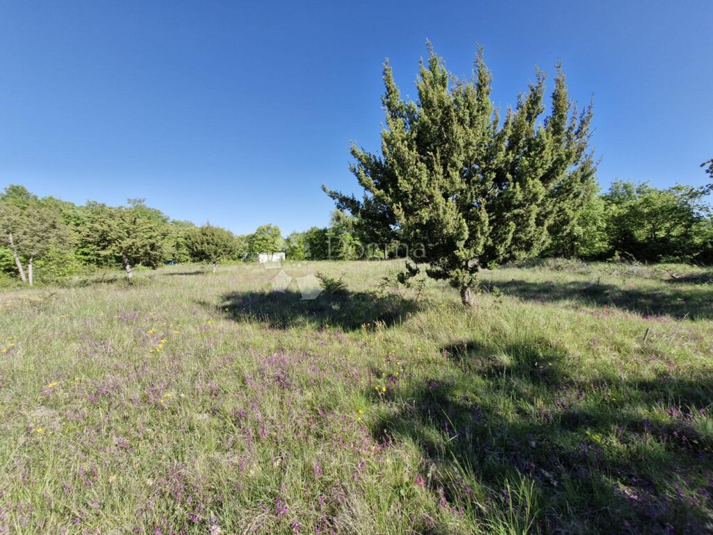 Image 6359843 - 6