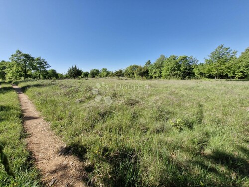Iskoristite priliku! Plodno zemljište s vodom na parceli