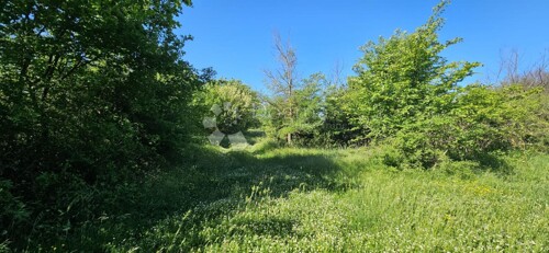 Poljoprivredno zemljište nedaleko od centra Svetvinčenta