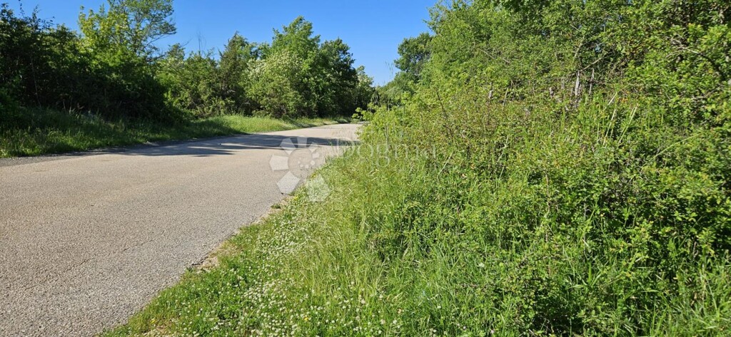 Image 6359847 - 3