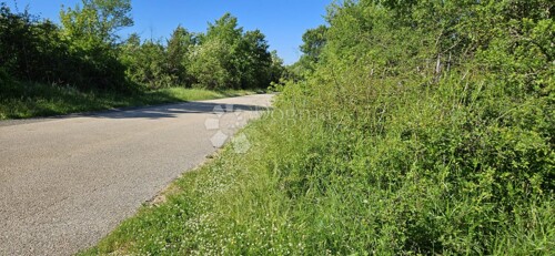 Thumbnail 6359847 - 3