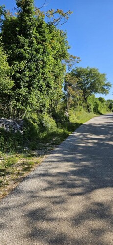 Thumbnail 6359848 - 10