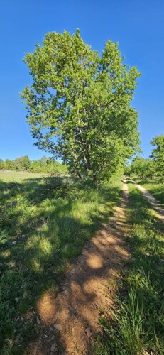 Thumbnail 6359848 - 8