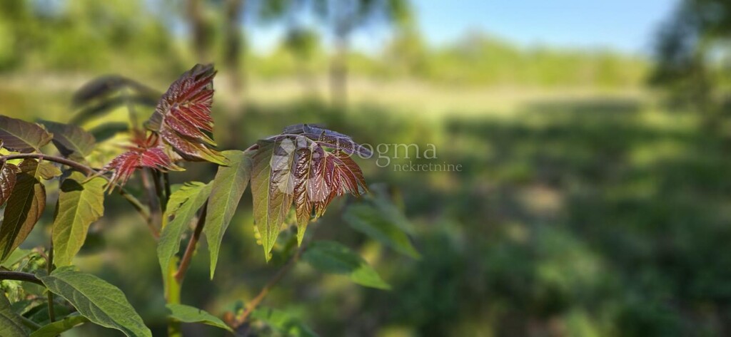 Image 6359848 - 7