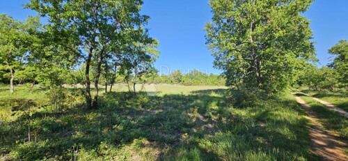 Poljoprivredno zemljište sa priključkom vode