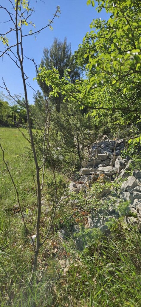Image 6359848 - 6