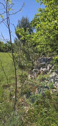 Thumbnail 6359848 - 6