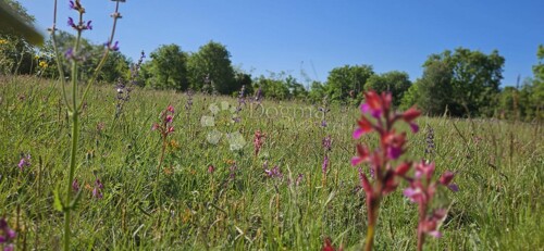 Thumbnail 6359848 - 5