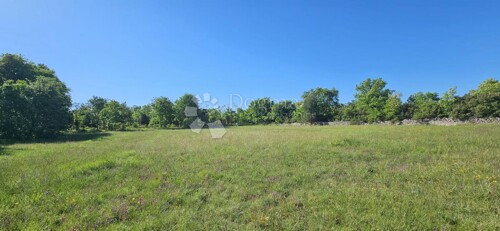 Poljoprivredno zemljište sa priključkom vode