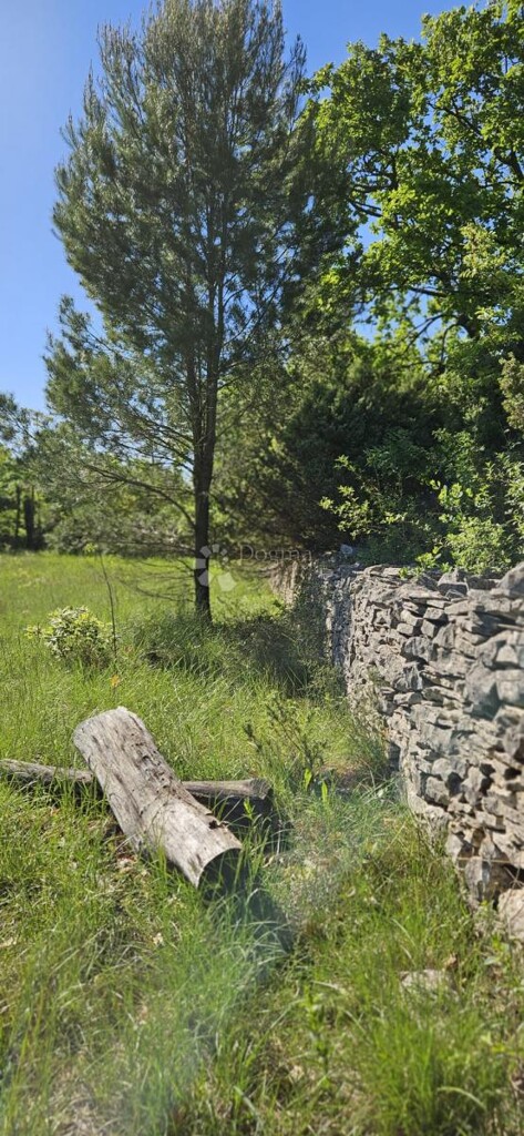 Image 6359848 - 9
