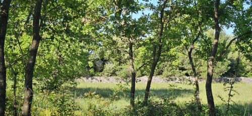 Thumbnail 6359848 - 3