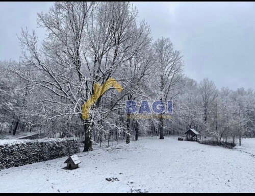 Thumbnail 6359853 - 14