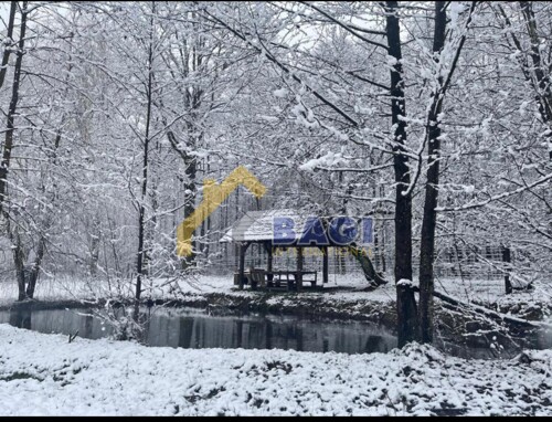 Thumbnail 6359853 - 13