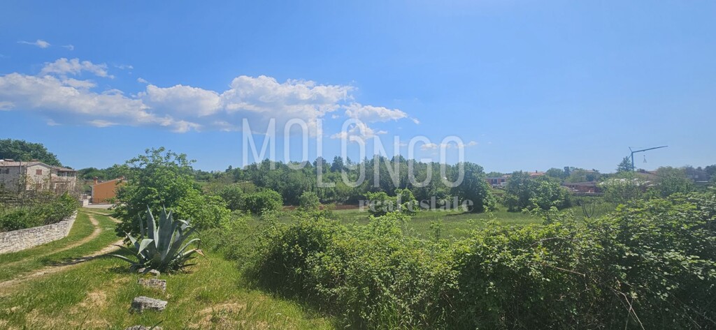Image 6359897 - 1