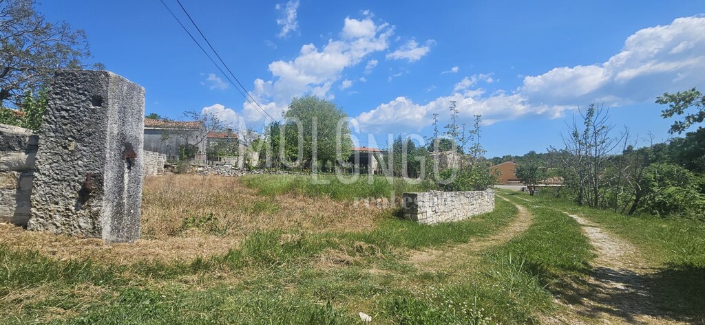 Image 6359897 - 3