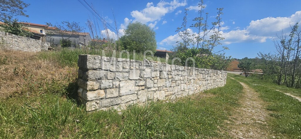 Image 6359897 - 4