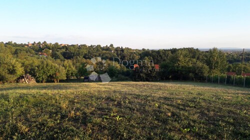 Thumbnail 6359900 - 13