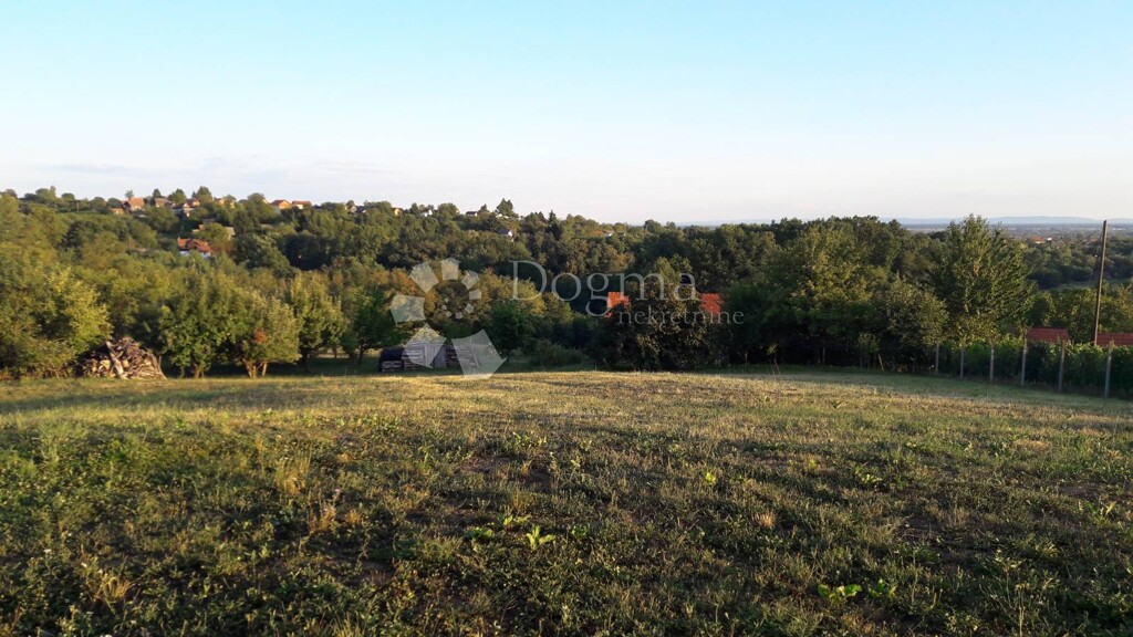 Image 6359900 - 13