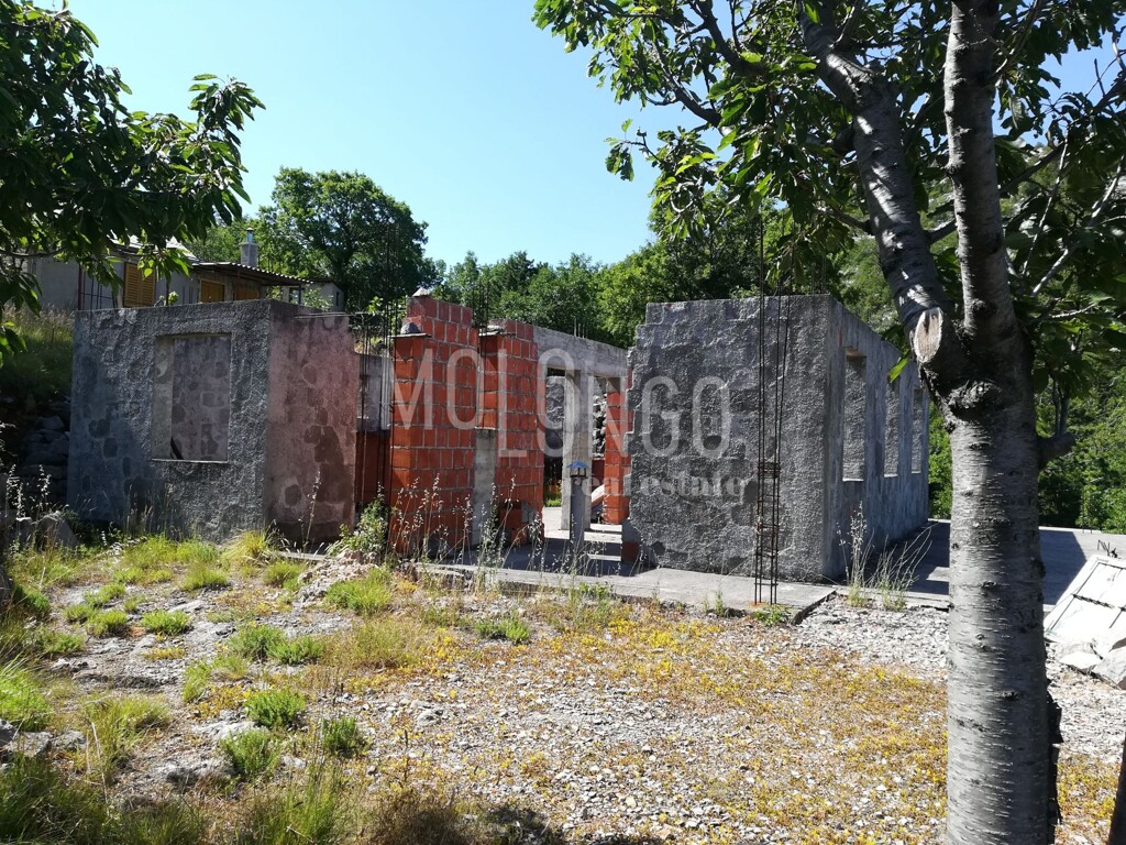 Image 6359912 - 1