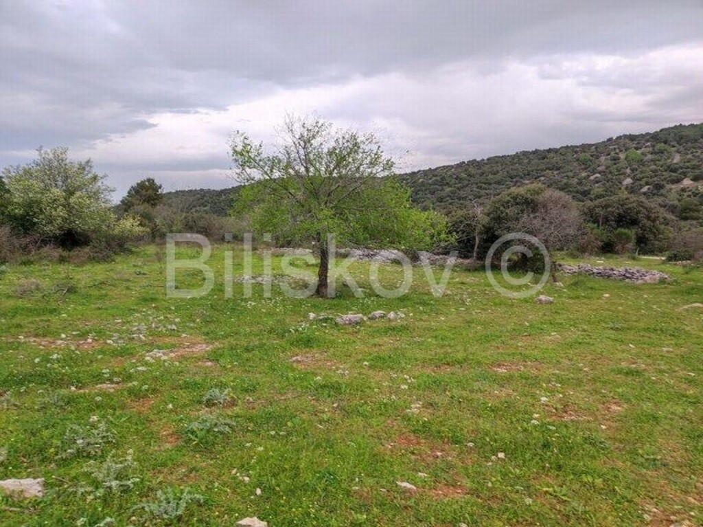 Image 6359916 - 2
