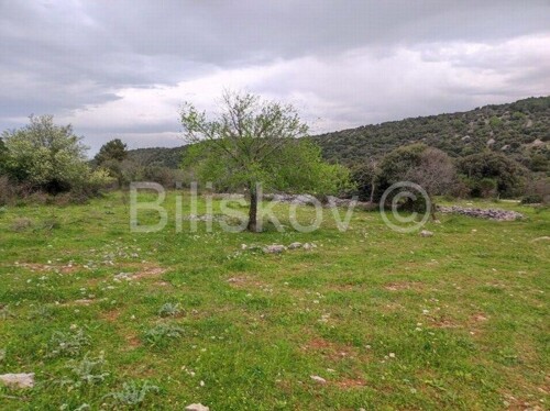 Brač, Selca poljoprivredno zemljište površine 11500 m2