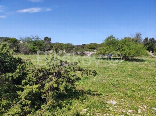 Brač, Selca poljoprivredno zemljište površine 11500 m2