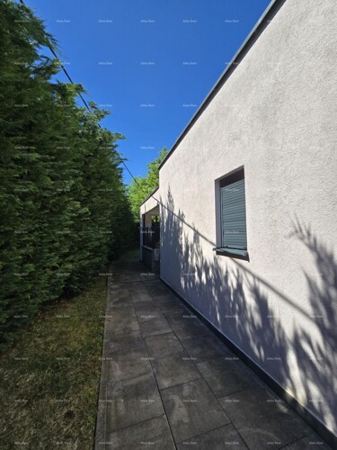 Thumbnail 6359921 - 13