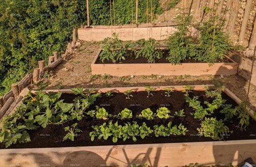 Thumbnail 6359922 - 5