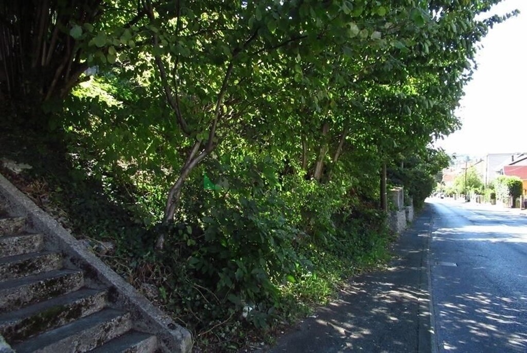 Image 6359951 - 8