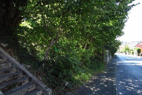 Thumbnail 6359951 - 8