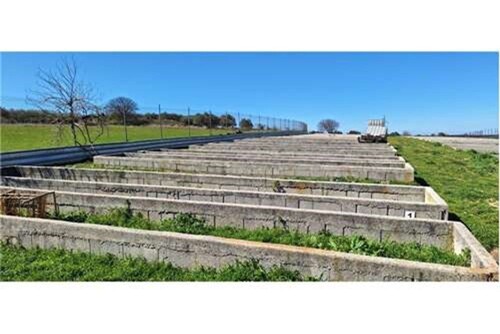 Thumbnail 6359961 - 12