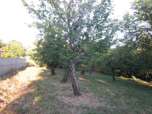 Thumbnail 6359967 - 3