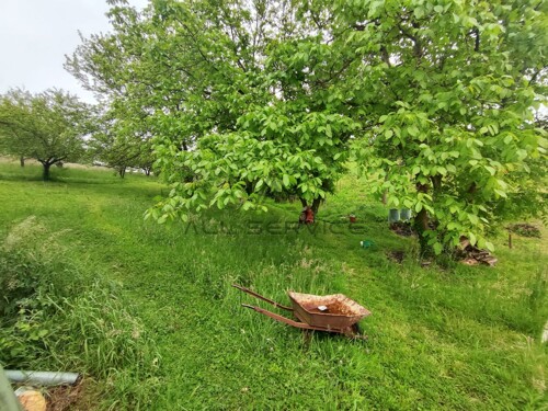 Građevinsko zemljište sa kućom( max 1600 BRP) , Orehovečki